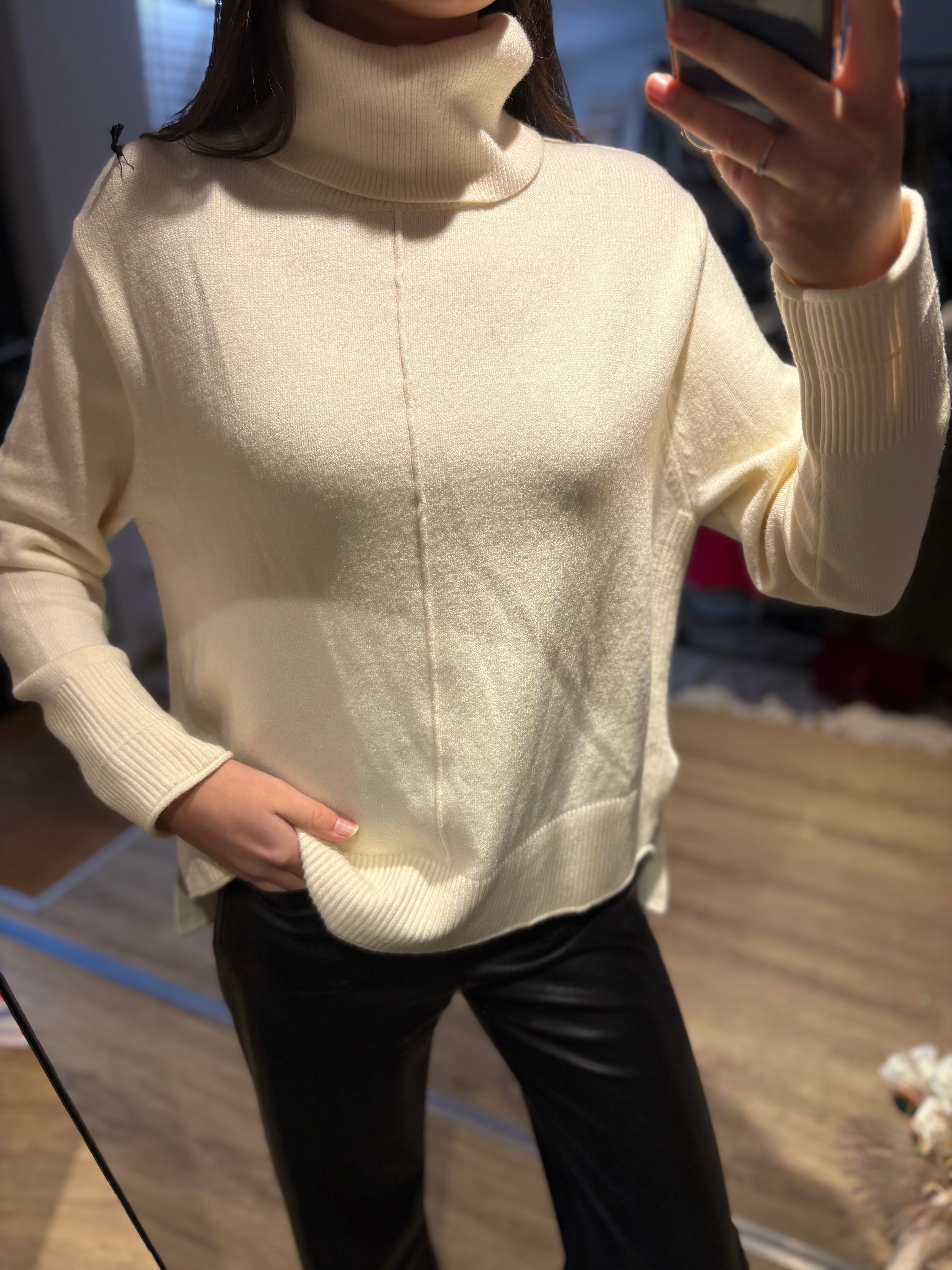 Pull col roulé 38-44