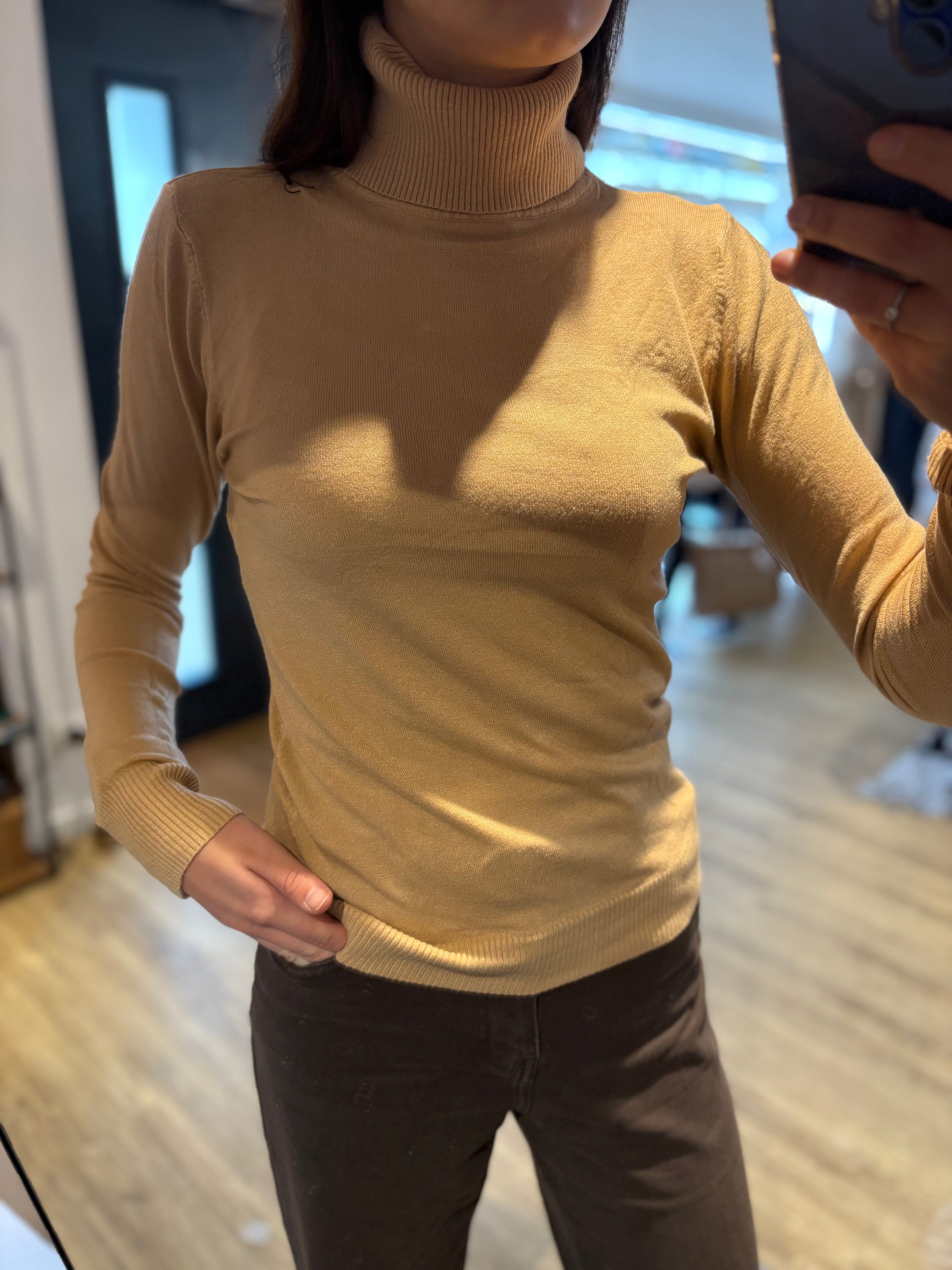 Pull Col roulé fins